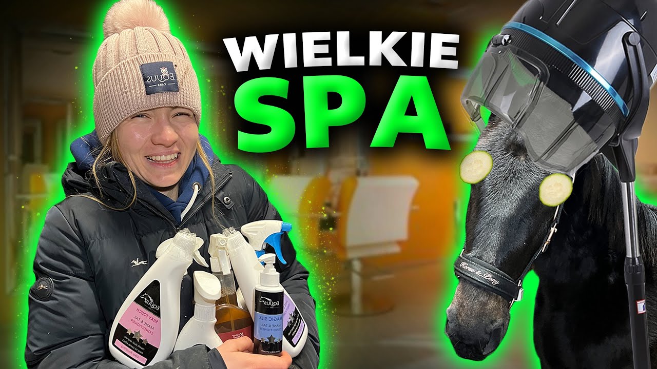 WIELKIE SPA DILI I PRIMY Z EQUUS CARE 🤩