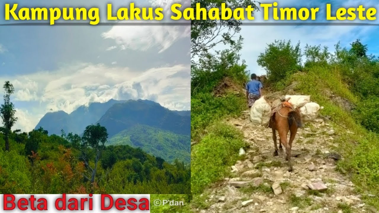 Kampung Lakus di Batas Timor Leste l Belu NTT