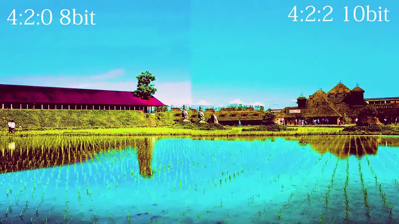 8bit vs 10bit グレーディングテスト 4 2 0 8bit vs 4 2 2 10bit Color Grading
