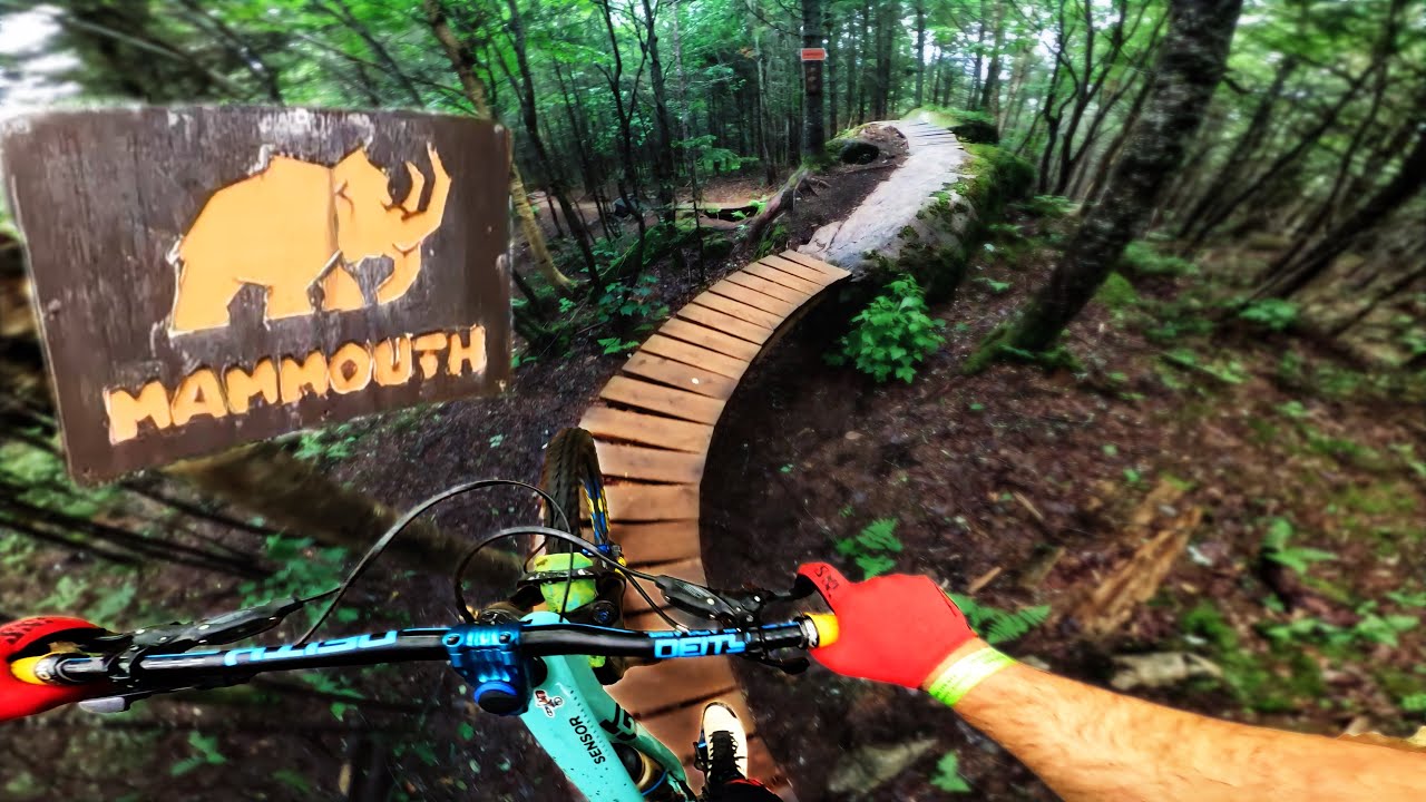 North Shore Tech Is Scary, But That's Why I Enjoy It!