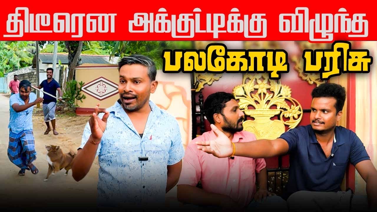 அக்குட்டி வீட்டுக்கு வந்த புதிய பிரச்சனை | Akkuddiyum pichumaniyum | Tamil comedy