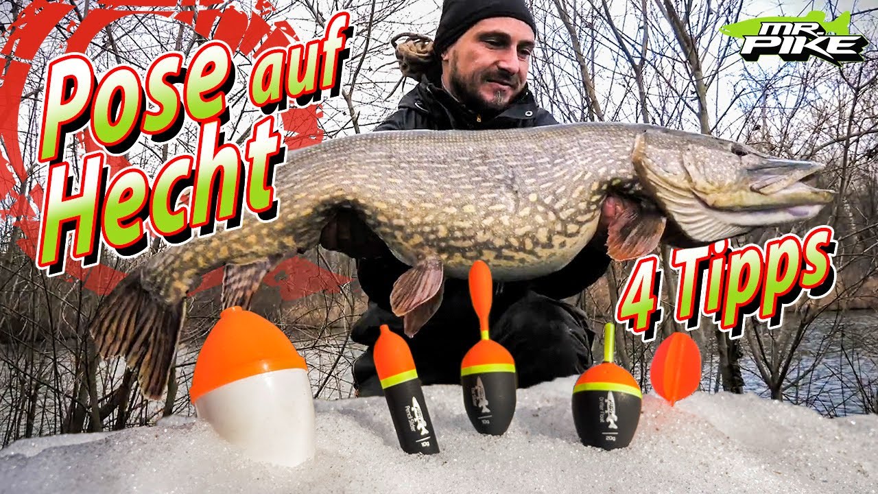 Hechtangeln mit Pose f&uuml;r Anf&auml;nger - Das musst du wissen!