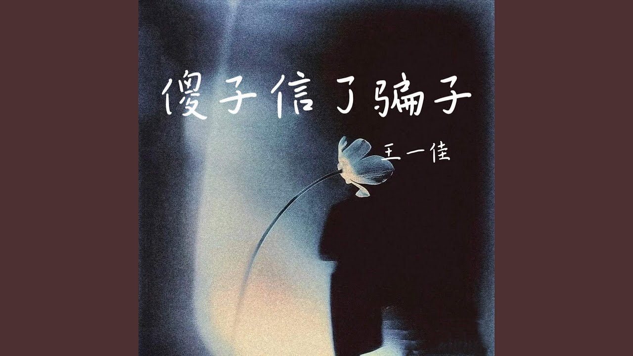 傻子信了骗子