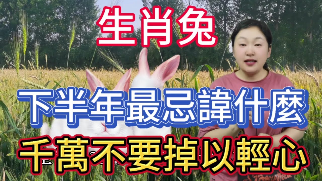 生肖兔！2024年下半年最忌諱什麼？屬兔人大忌的顏色！屬相兔不可不知！#運勢 #風水 #生肖 #2024 #佛教