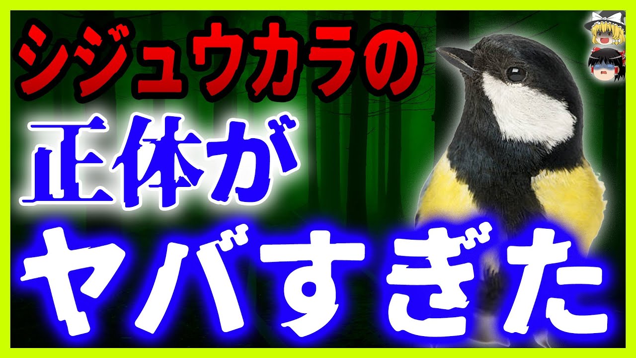 【ゆっくり解説】シジュウカラとは何者なのか？あまり知られていない実態と衝撃事実を徹底解析！