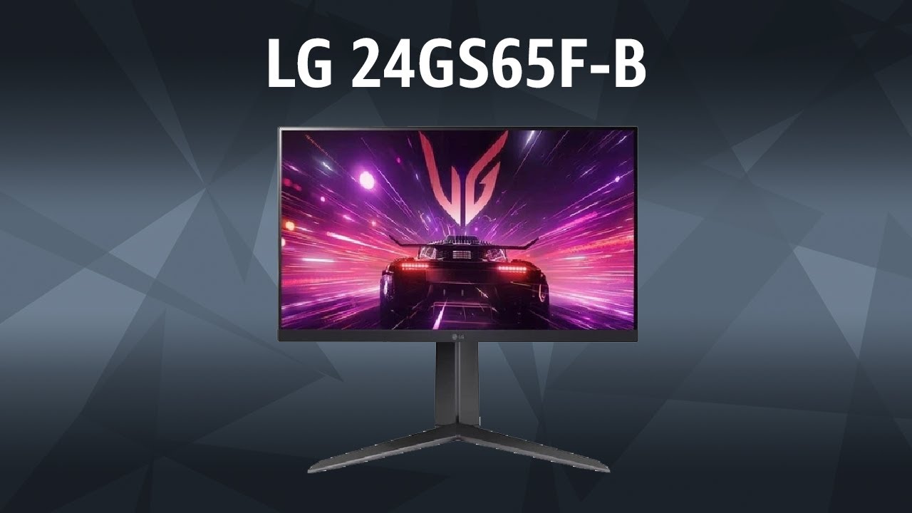 Монитор LG 24GS65F-B