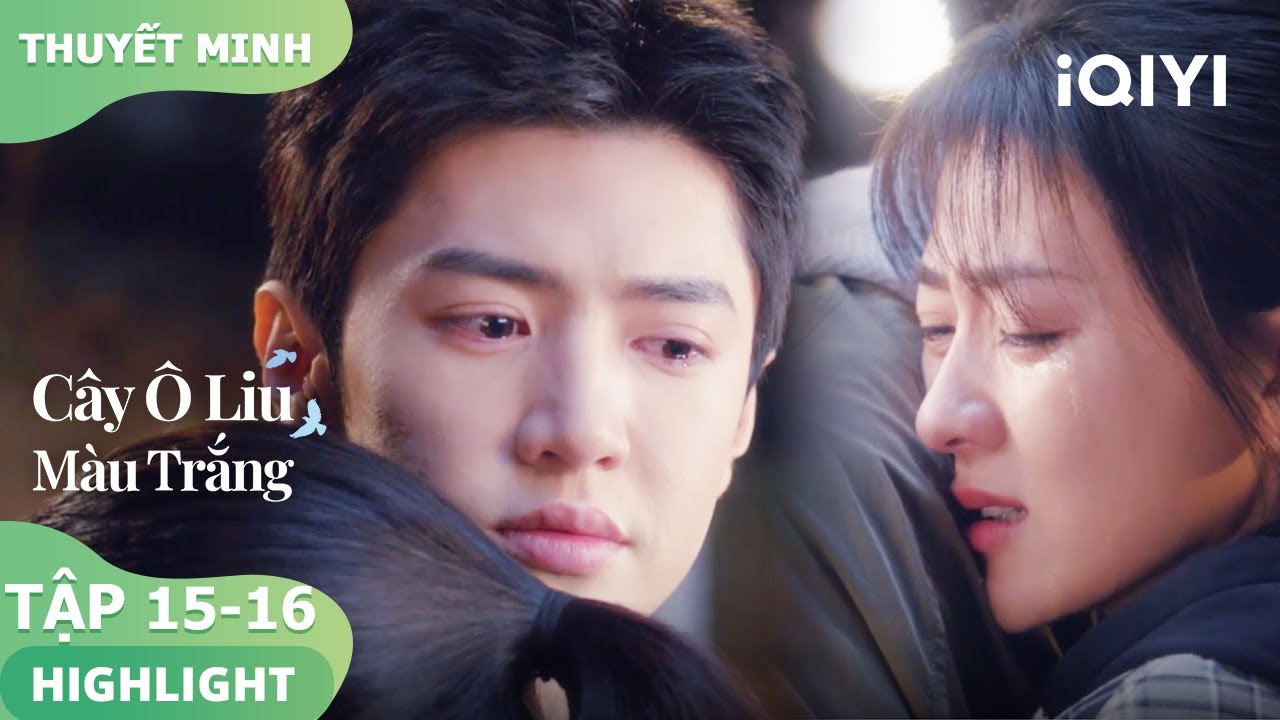 Lý Toản và Tống Nhiễm làm hòa sau khi cãi nhau | Cây Ô Liu Màu Trắng15-16 | iQIYI Vietnam