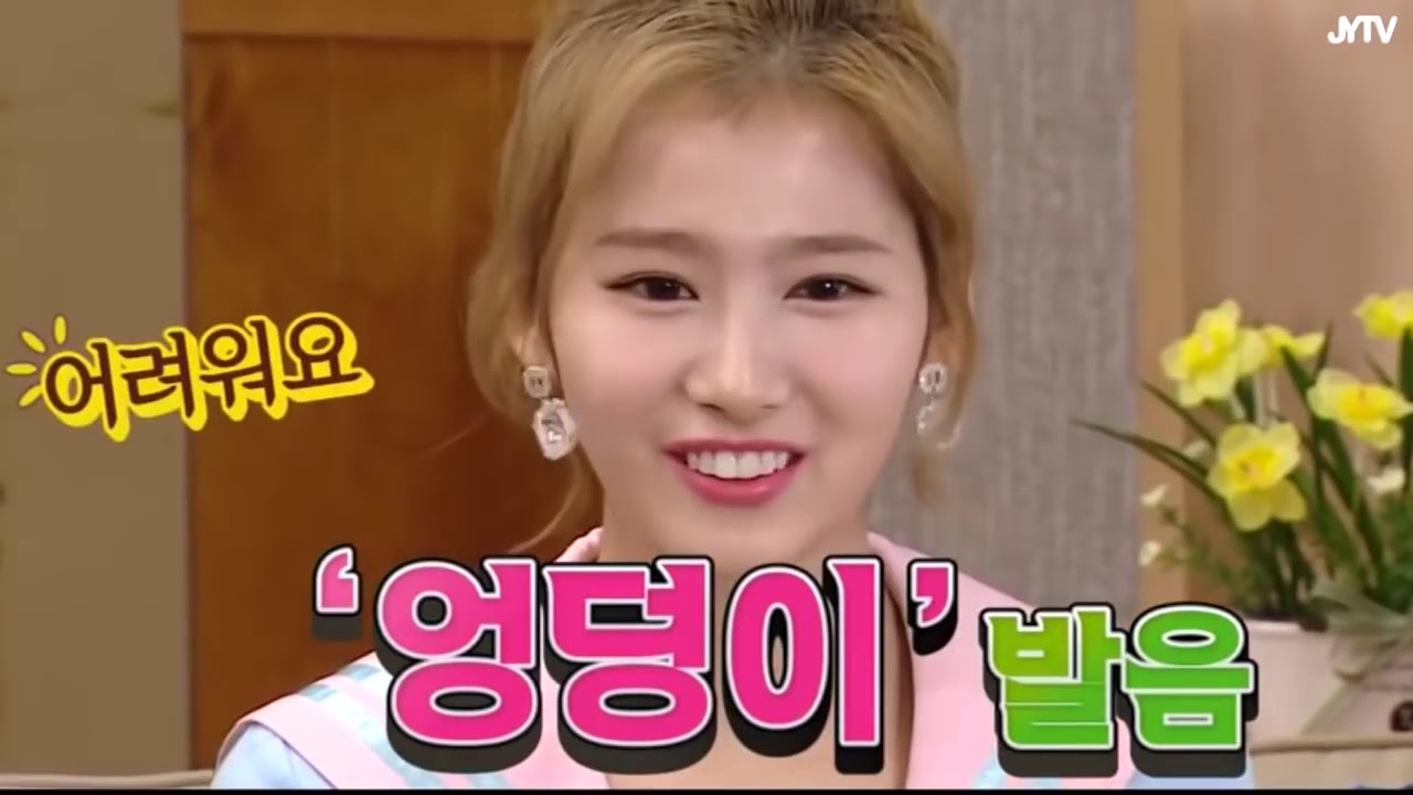 [TWICE] サナの韓国語発音、意外と正確？