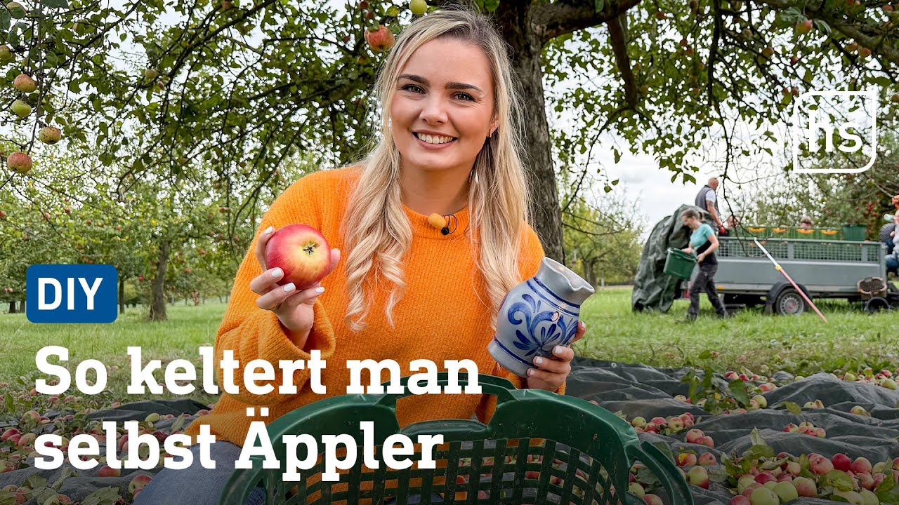 Nicht so einfach! Wie der Apfel zum Äppler wird | hessenschau