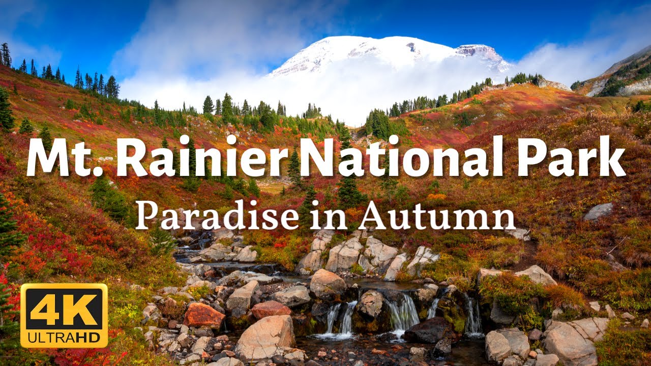 Mount Rainier National Park in Autumn| Fall Colors Hiking | Paradise in Autumn