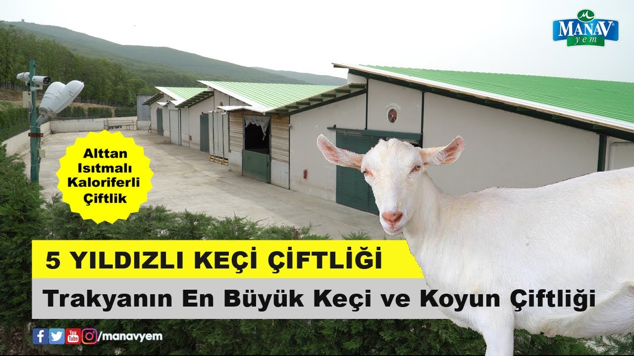 Фракия - крупнейшая козья и овцеводческая ферма | Козья ферма 5 звезд