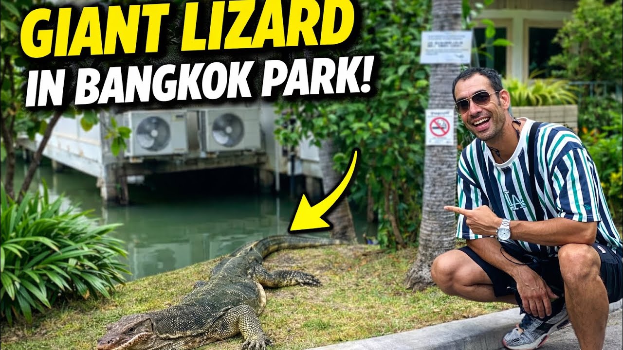Bangkok’s Best Kept Secret: A Hidden Oasis Uncovered🛶🛶🛶