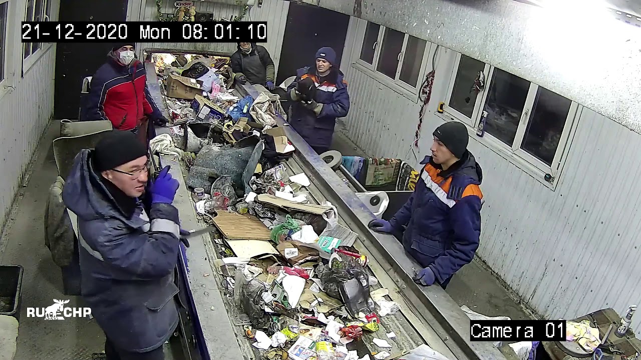 Garbage sorting worker found a live cat in a bag