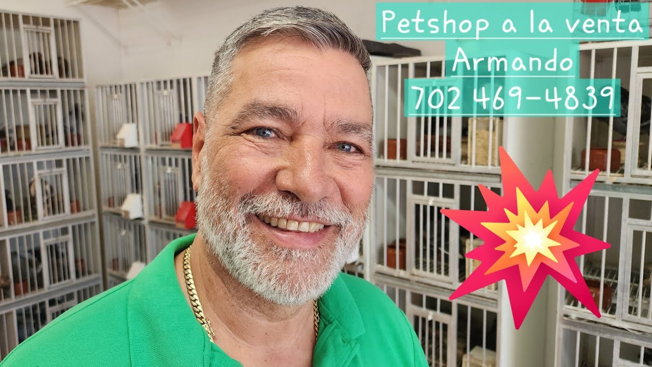 Armando esta vendiento el petshop