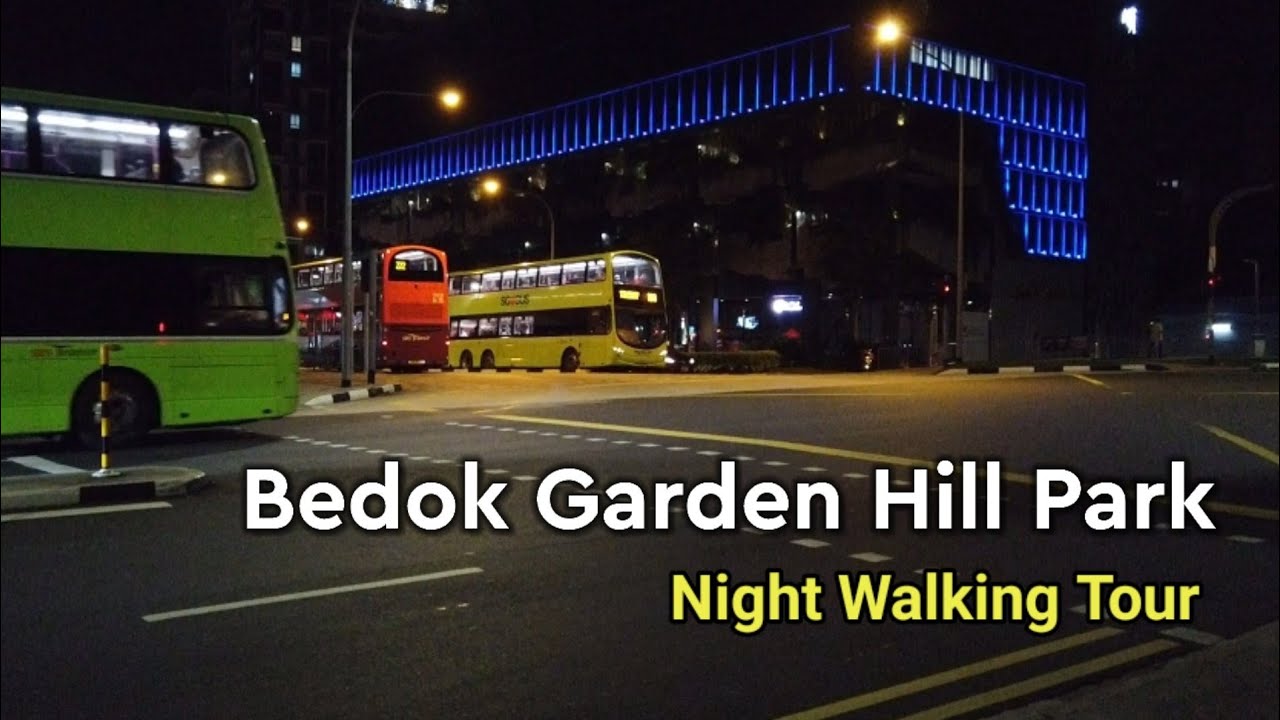Singapore Bedok Garden Hill Park Night Walking Tour ASMR