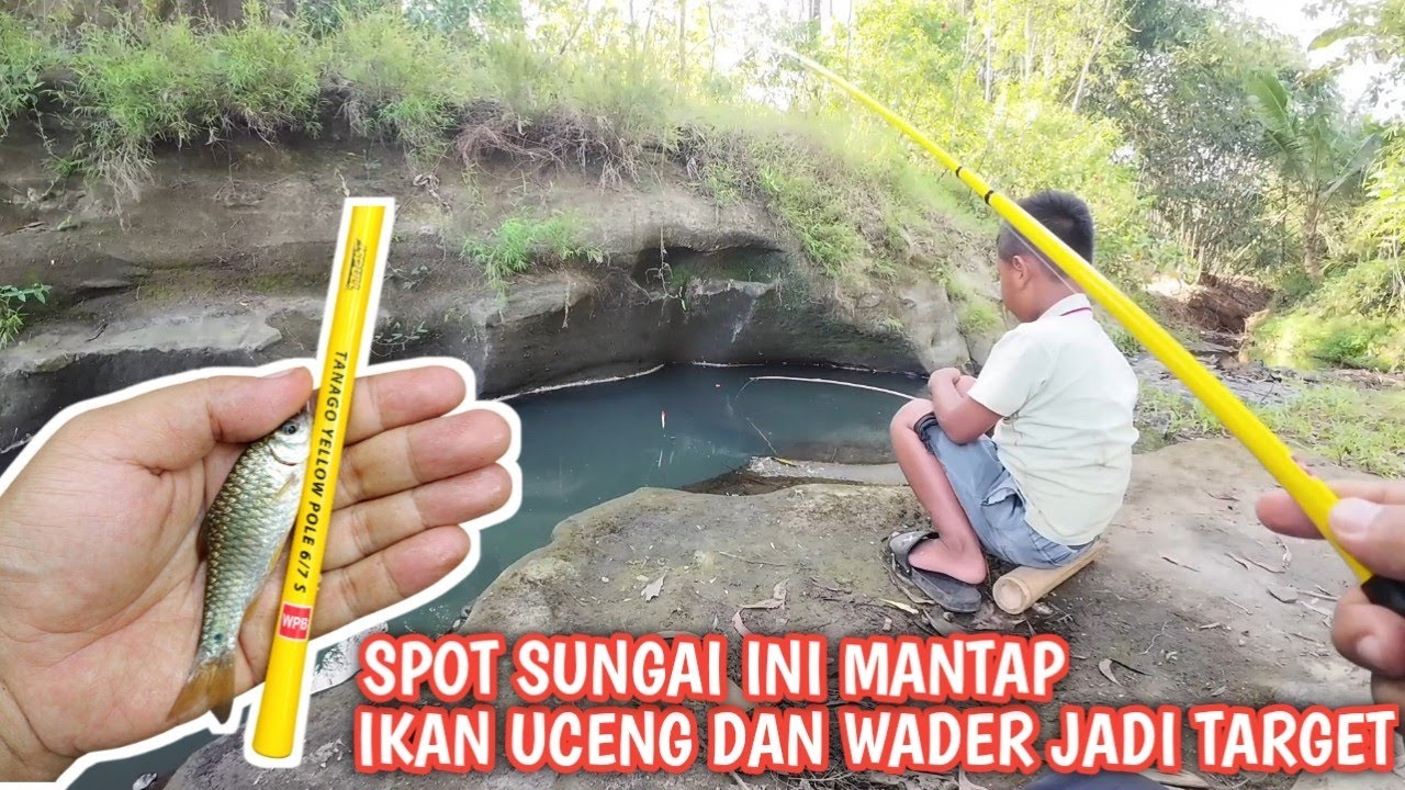 MANCING DI AIR JERNIH‼️ IKAN UCENG DAN WADER GAMPANG DIPANCING 🎣🔥