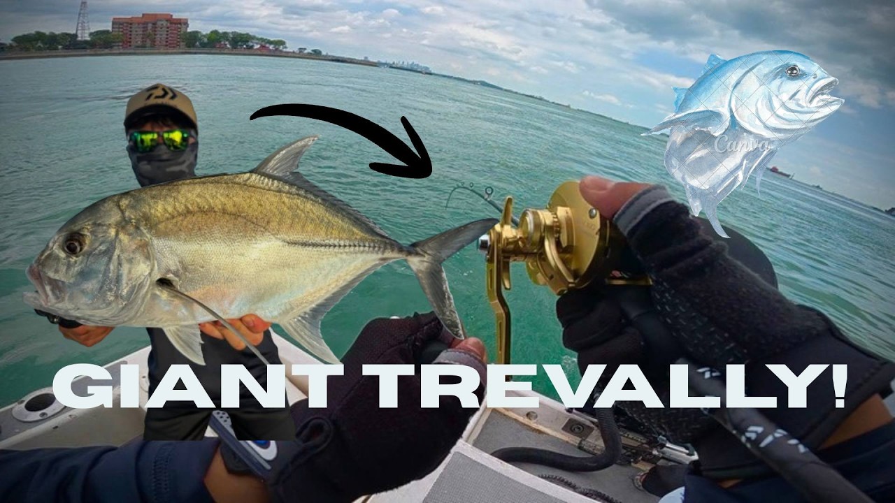 Giant Trevally Fishing! Testing my Shimano Ocea Conquest 301xg | Singapore Offshore Fishing