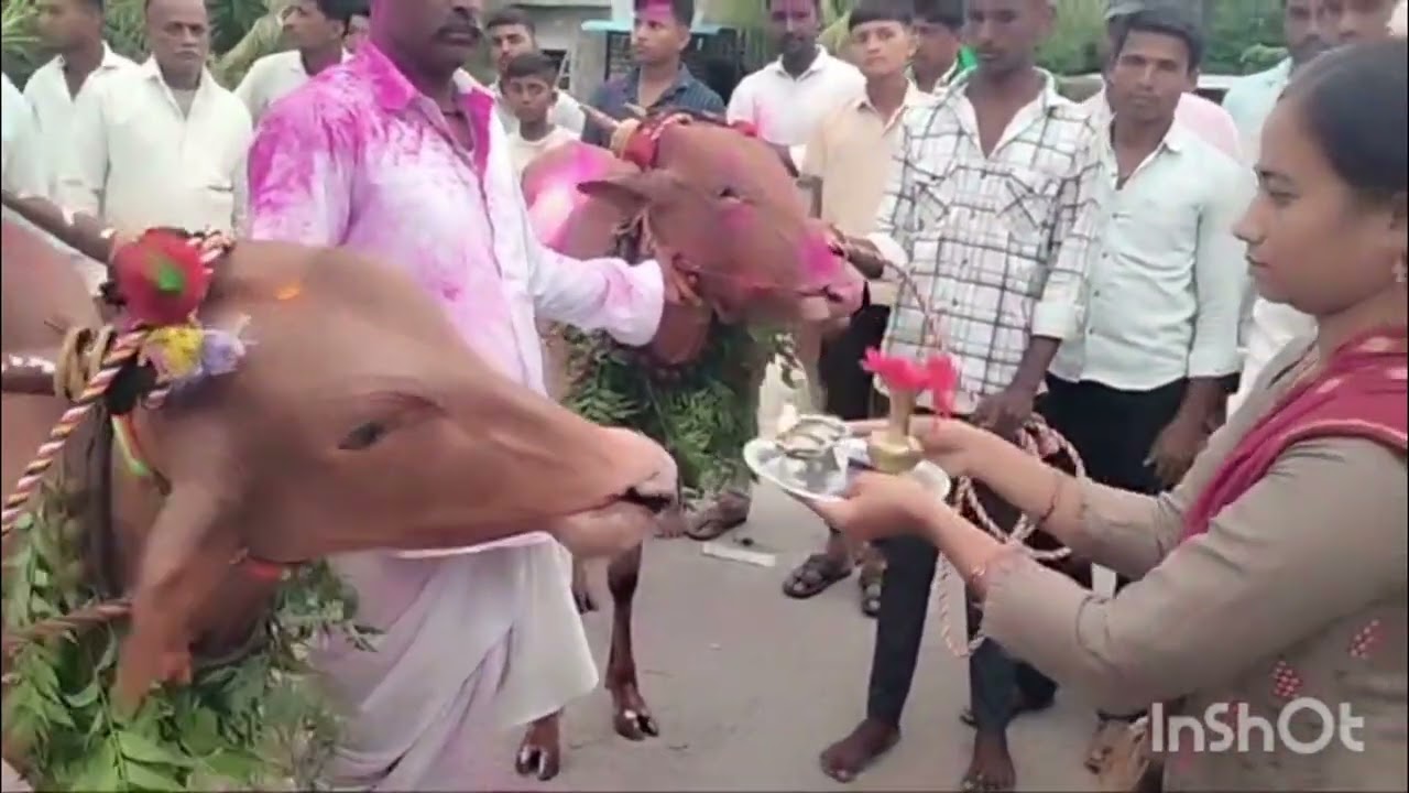 🌼🌺🌘🐂ನಮ್ಮೂರ ಕಾರ ಹುಣ್ಣಿಮೆ Kaar Hunnime (Ajur)🐂🐂🍪🌼🌺  11-06-2025