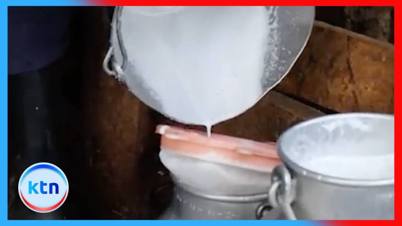 Meru dairy farmers trained to boost milk quality and profits