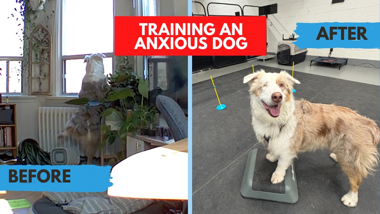 Мерлин до и после