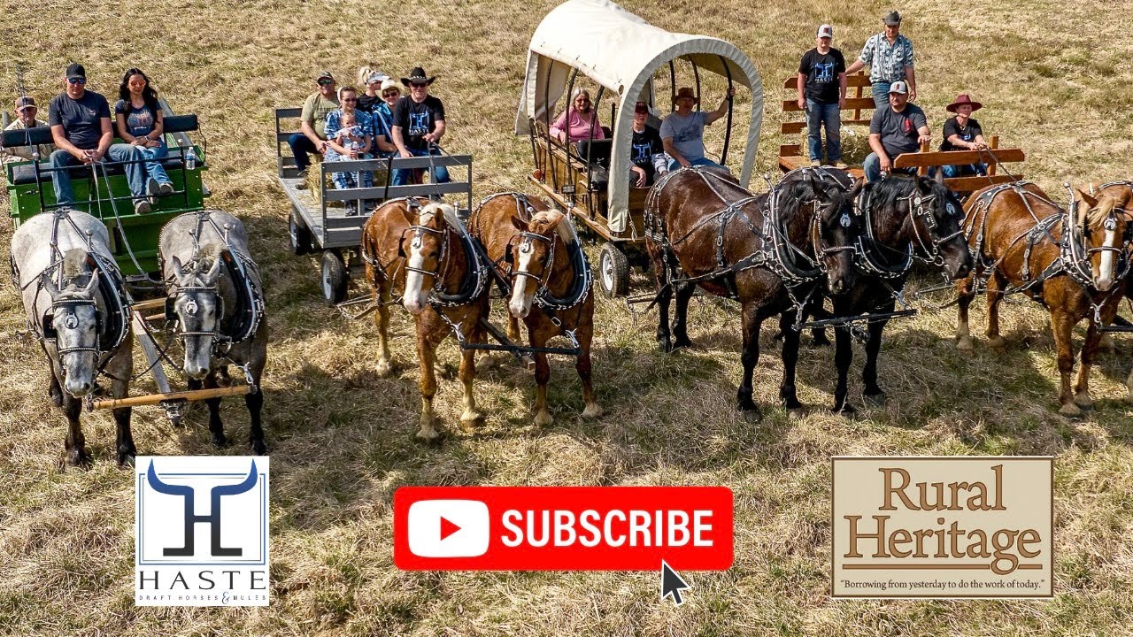 Haste Draft Horse Clinic Is A GAMECHANGER For Teamsters