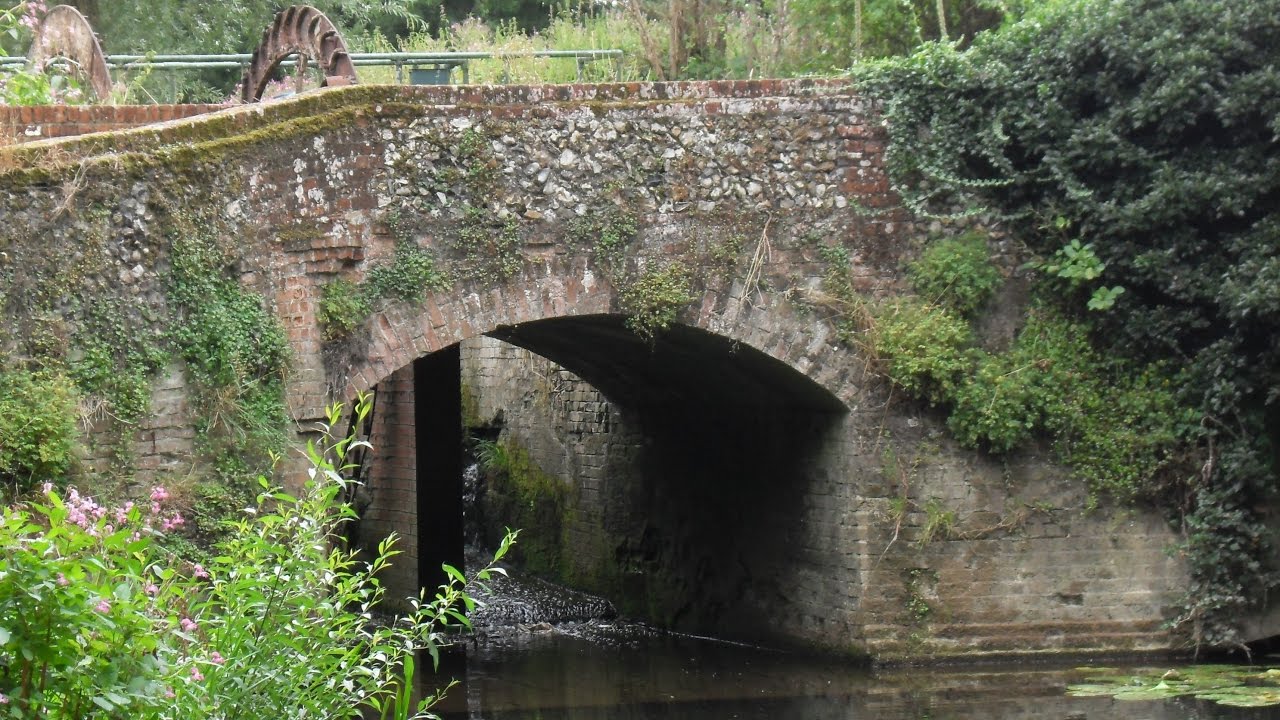 FINCHINGFIELD AND GREAT BARDFIELD DAY WALK (22/8/16)