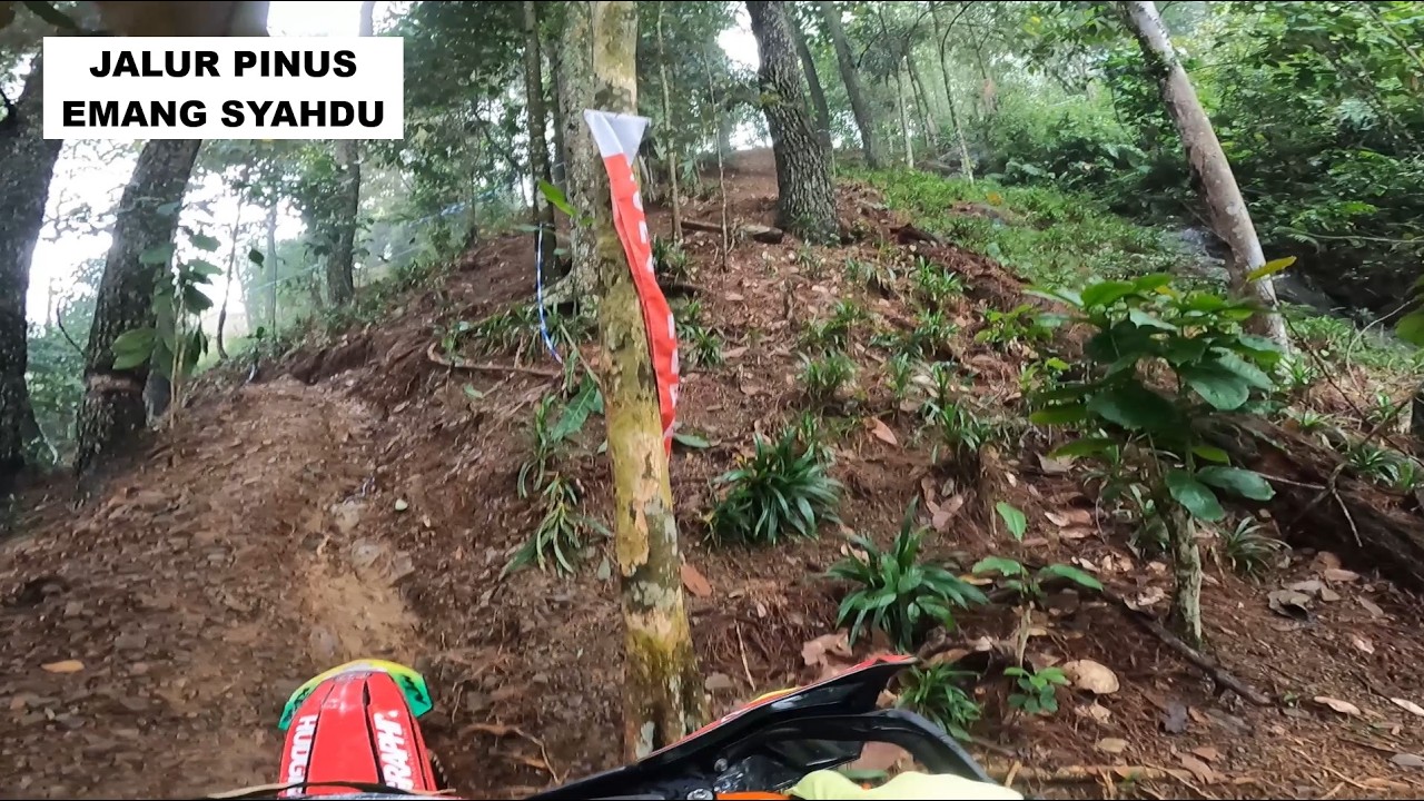 Jalur Ultah UBX 7 part 2