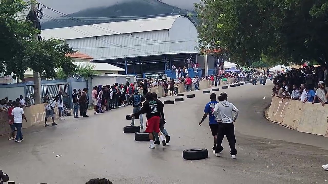 categoría artística triwil 