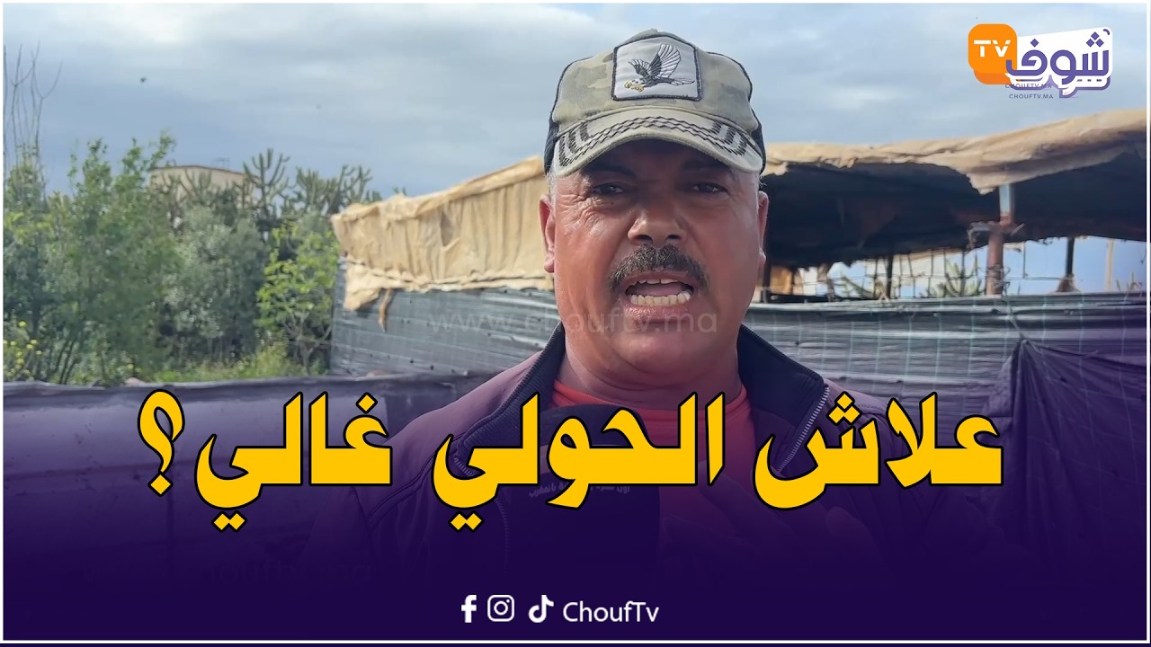 علاش الحولي غالي؟... فضيحة مدوية يفجرها كسابة ولاد عبو: ماجاوش يديرو لينا التلقيح للحوالى..