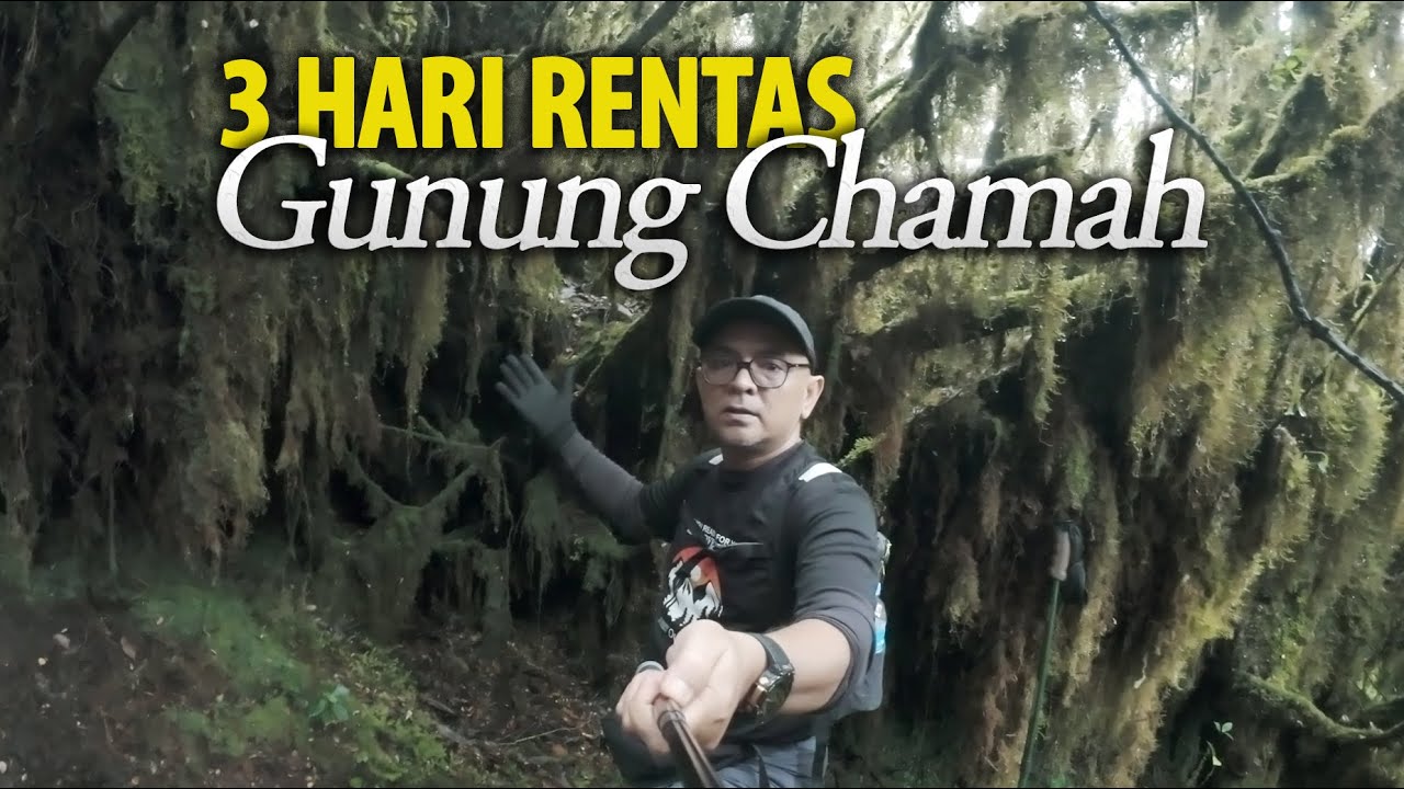 3 Hari Rentas Gunung Chamah Kelantan, Gunung Terpaling Siksa Mental Tapi Cantik, Camping Hiking