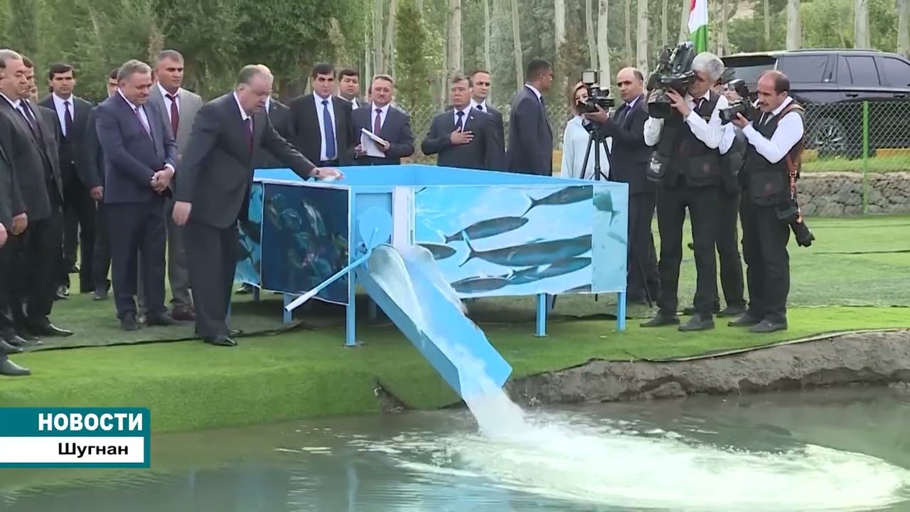 Президент ознакомился с показательным сельхоз-участком, производством рыбы и проектом теплицы.