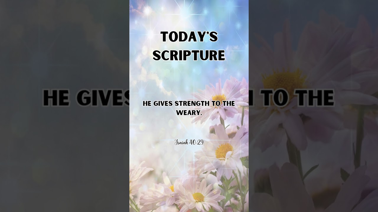 Today's scripture