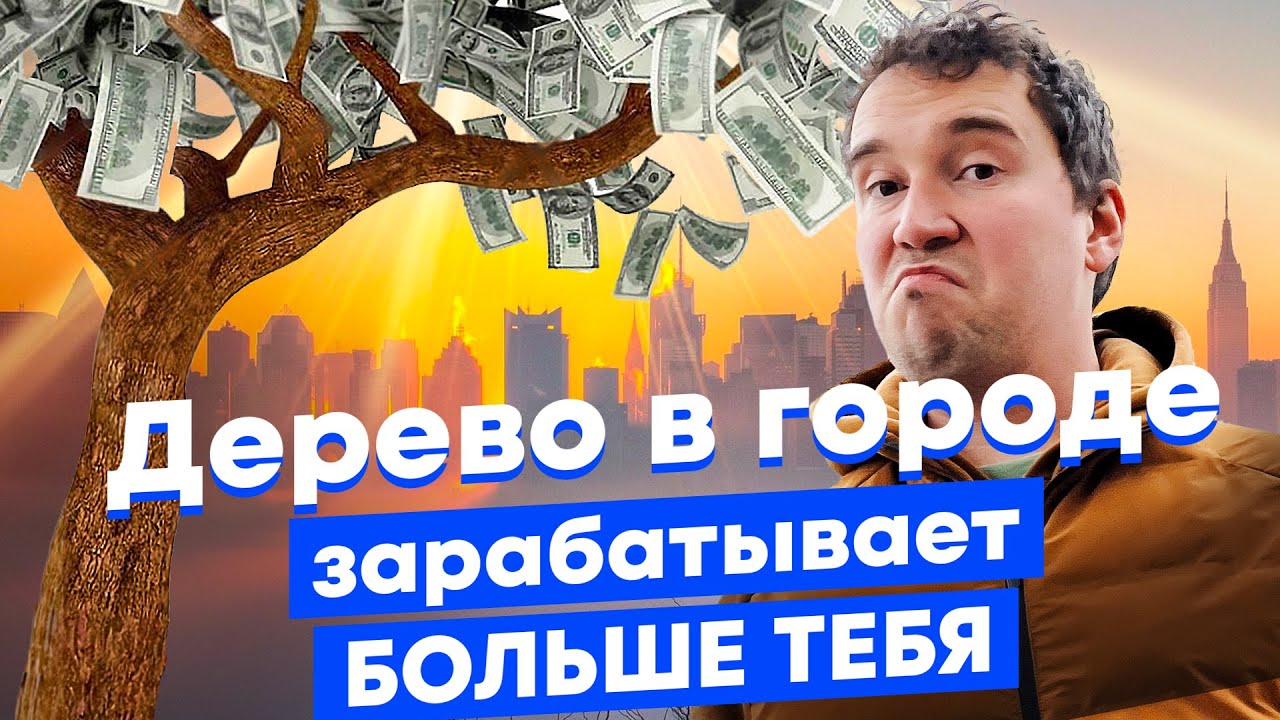 Как деревья делают дома дороже и снижают преступность? 10 необычных эффектов от озеленения города