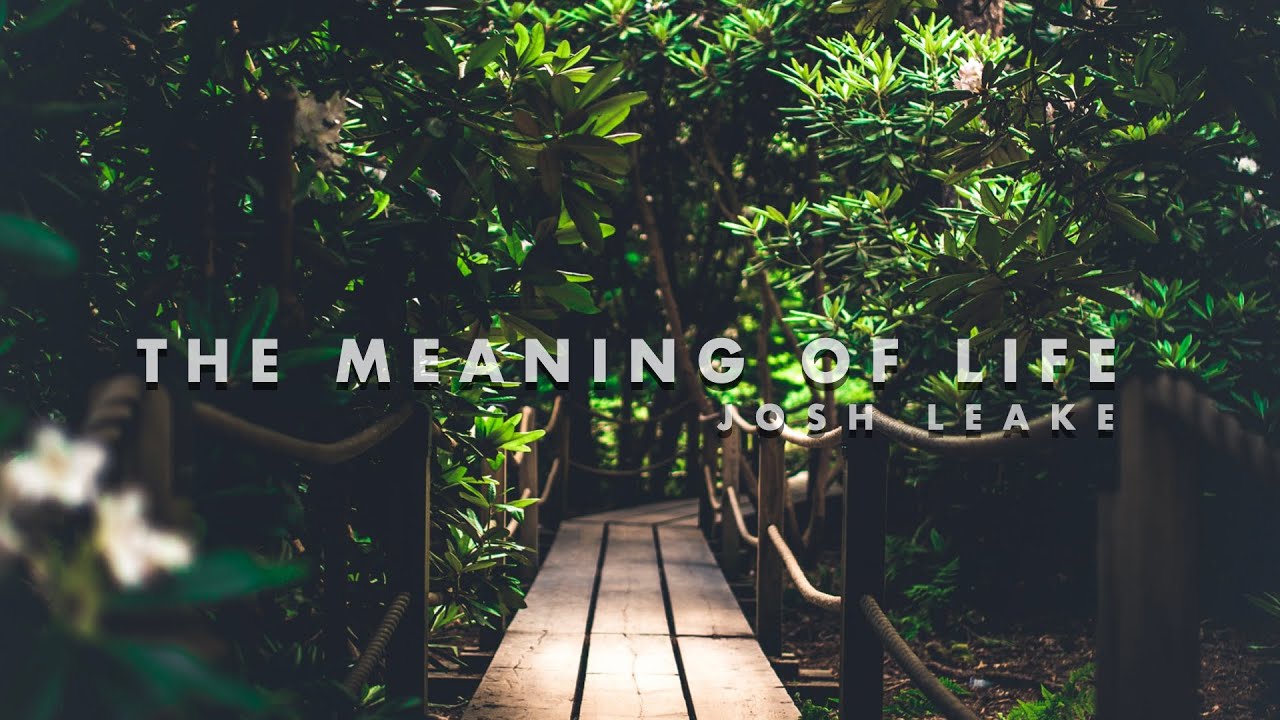 Josh Leake - 'The Meaning Of Life' | 30 Minutes of SLEEP/STUDY/RELAX