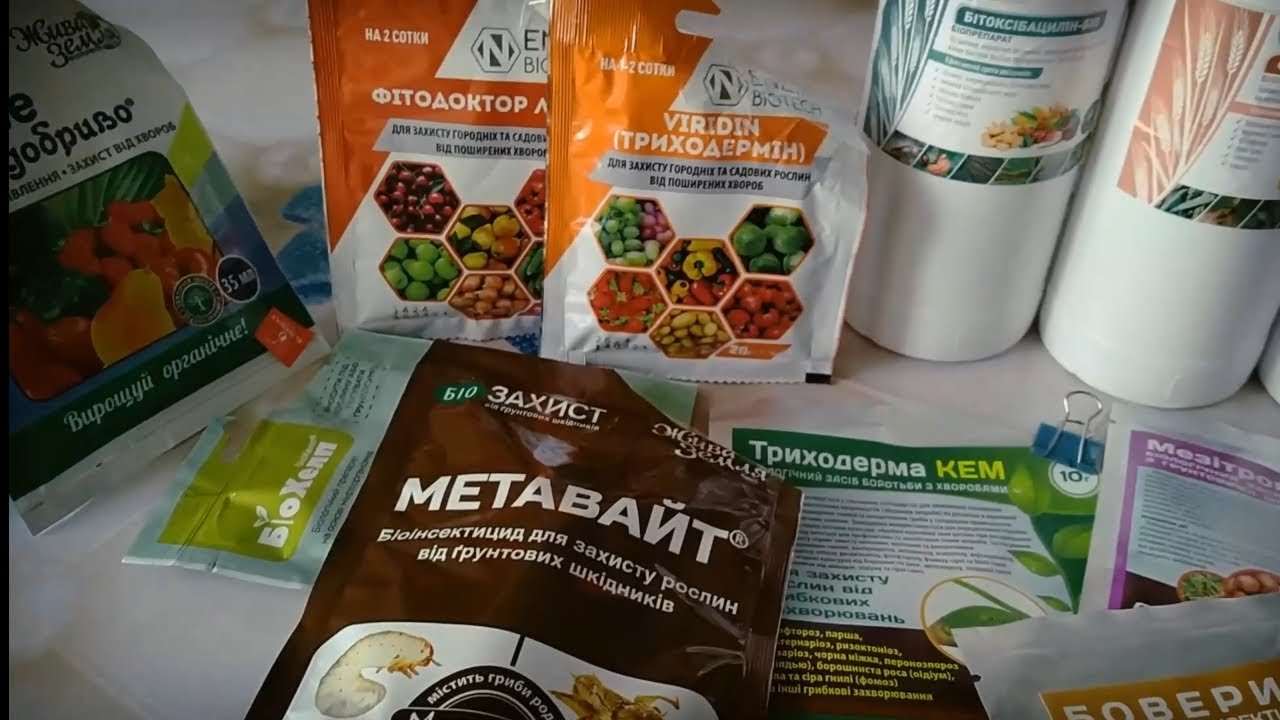 Зоопарк на чашці Петрі. Висіваємо біопрепарати.