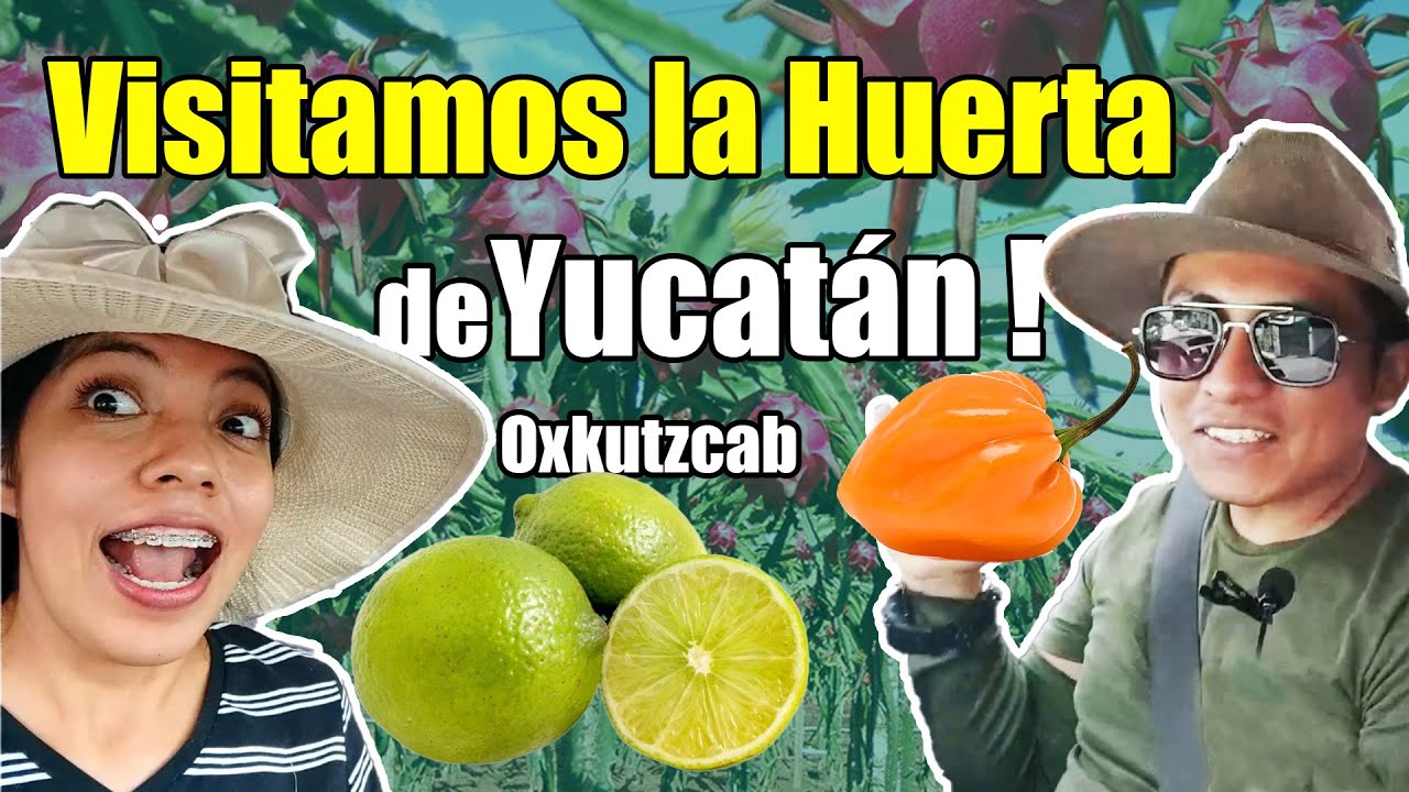 En la Huerta del estado - Visitando Pueblos Pt 2 - Oxkutzcab
