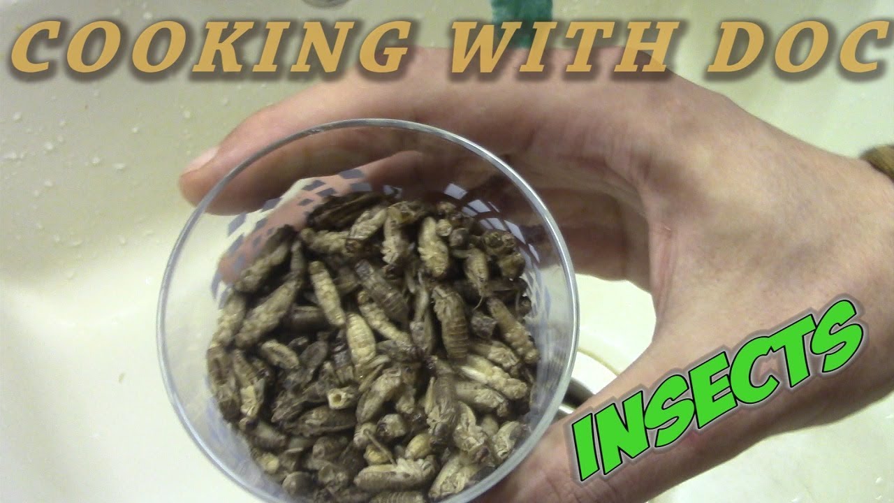 Cooking With Doc -  Insects Asia Style - E05