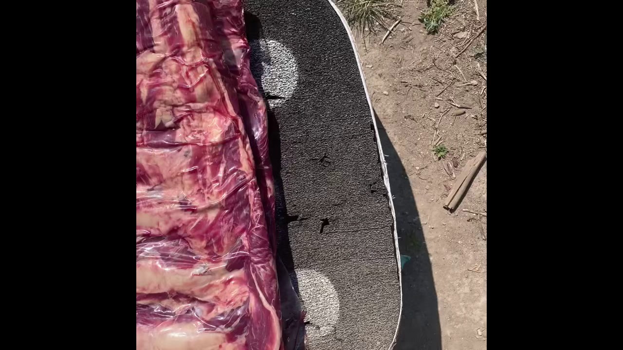 2019 elk broadhead test, mechanical vs fixed blade