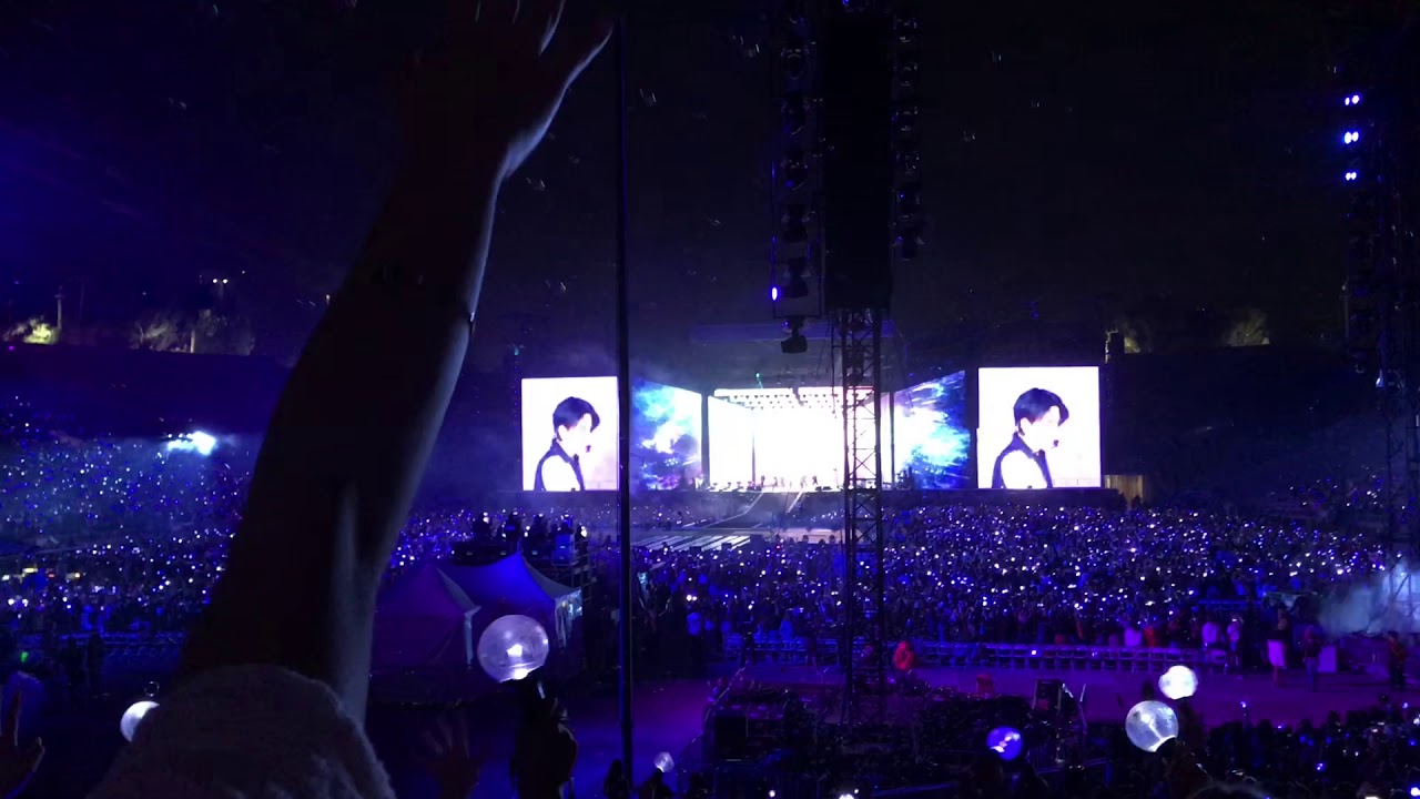 BTS JIMIN Serendipity || Speak Yourself Rose Bowl 05042019