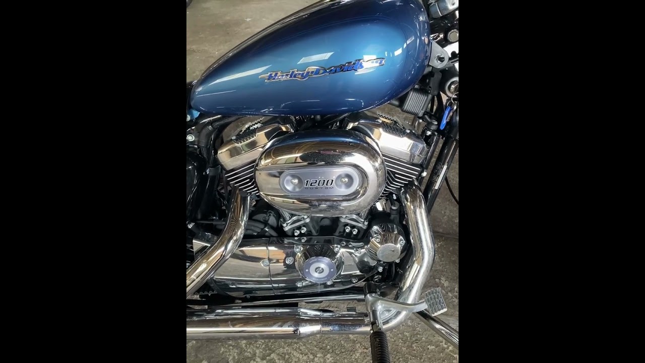 Harley-Davidson Sportster 1200, 2005г.