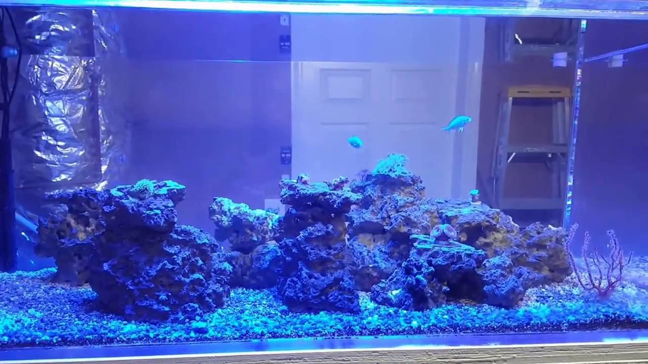 herbie overflow and plumbing for beginners