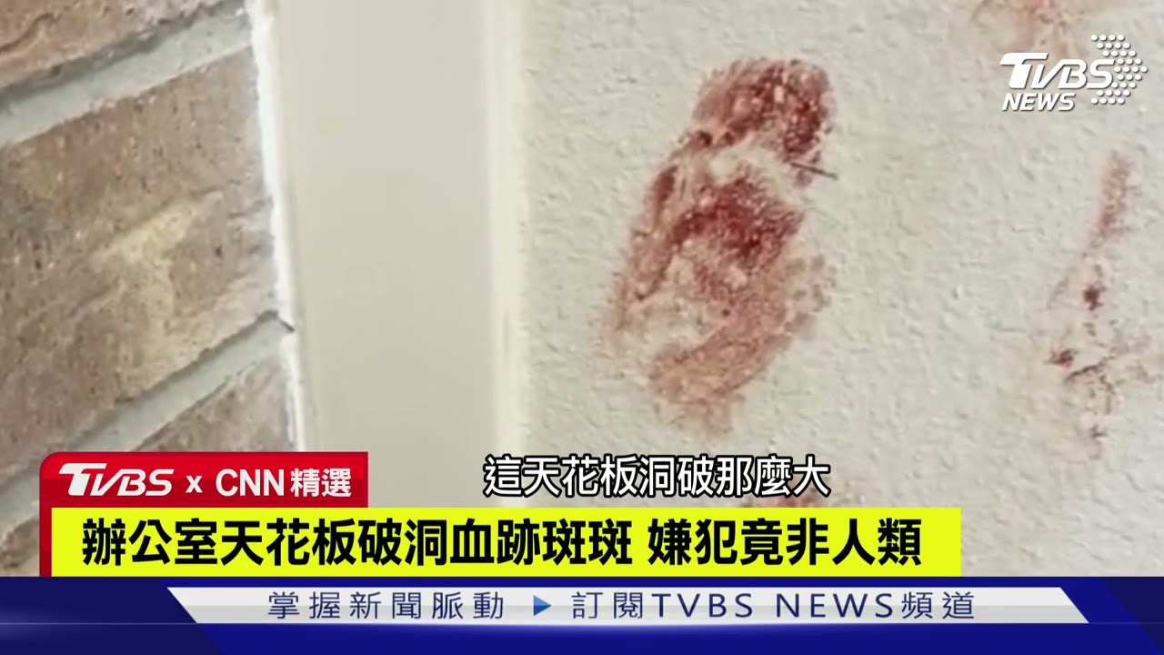 【CNN精選】辦公室天花板破洞血跡斑斑 嫌犯竟非人類｜TVBS新聞