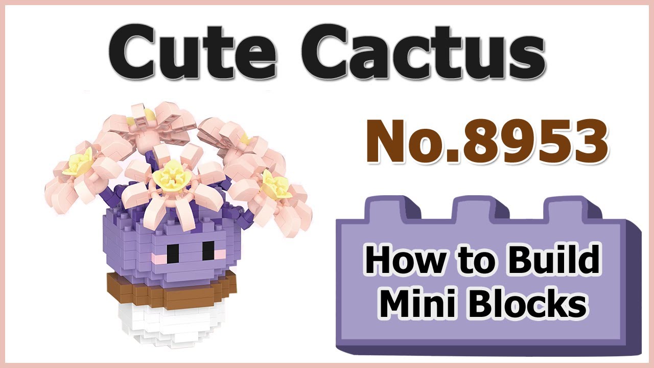 How to Build Mini Blocks Cactus 8953 Review Manual Specifications