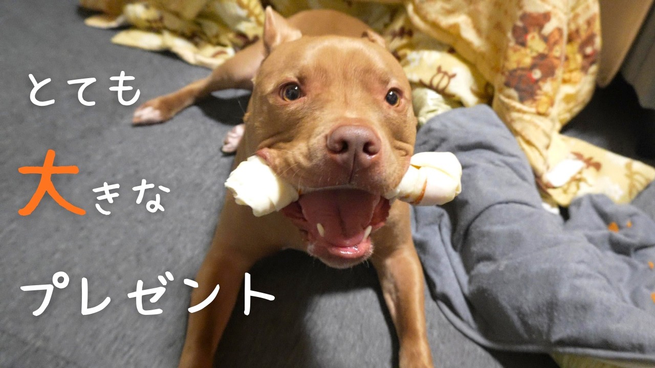 美容師さんから素敵なプレゼントを頂きました🤗🎁