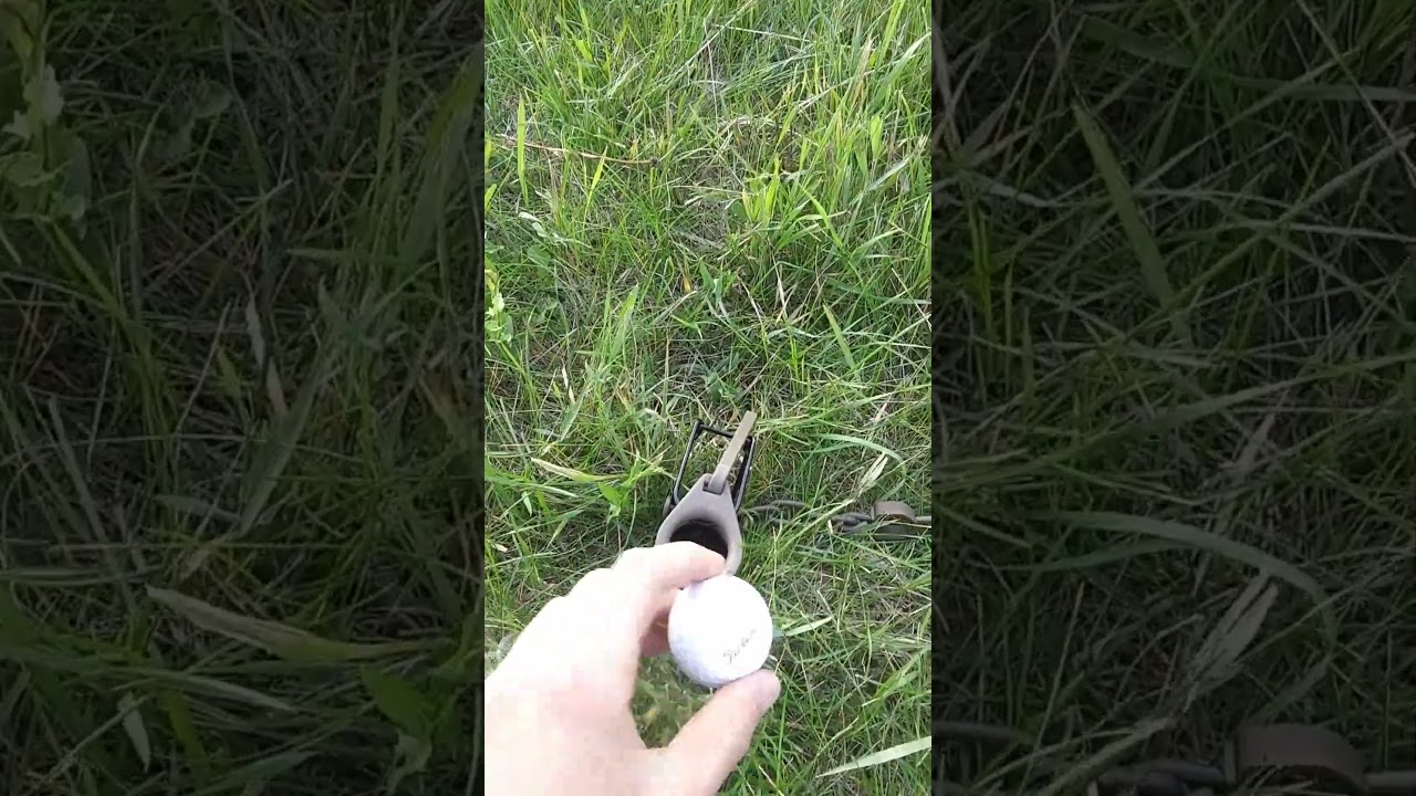 Dog Proof trap hack