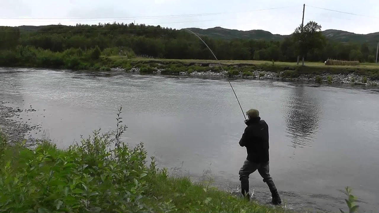 46lb salmon caught on Lakselva 2014