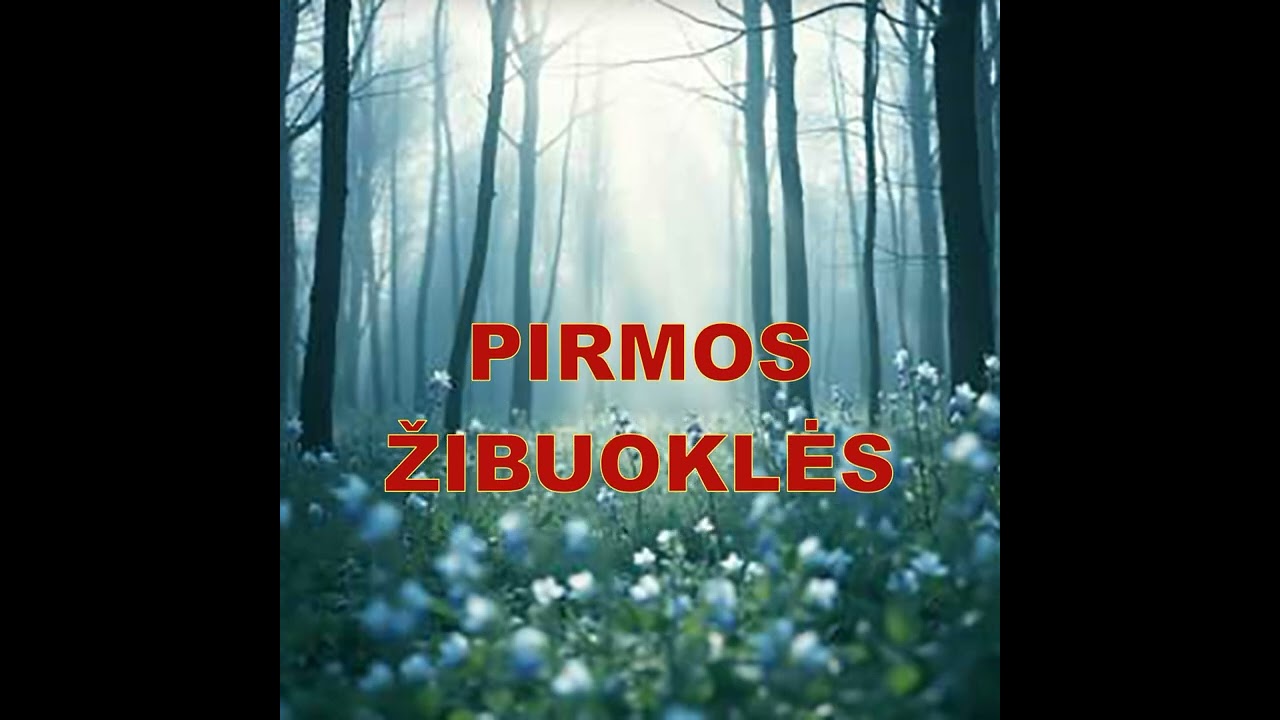 ŠTAI PIRMOS ŽIBUOKLĖS.