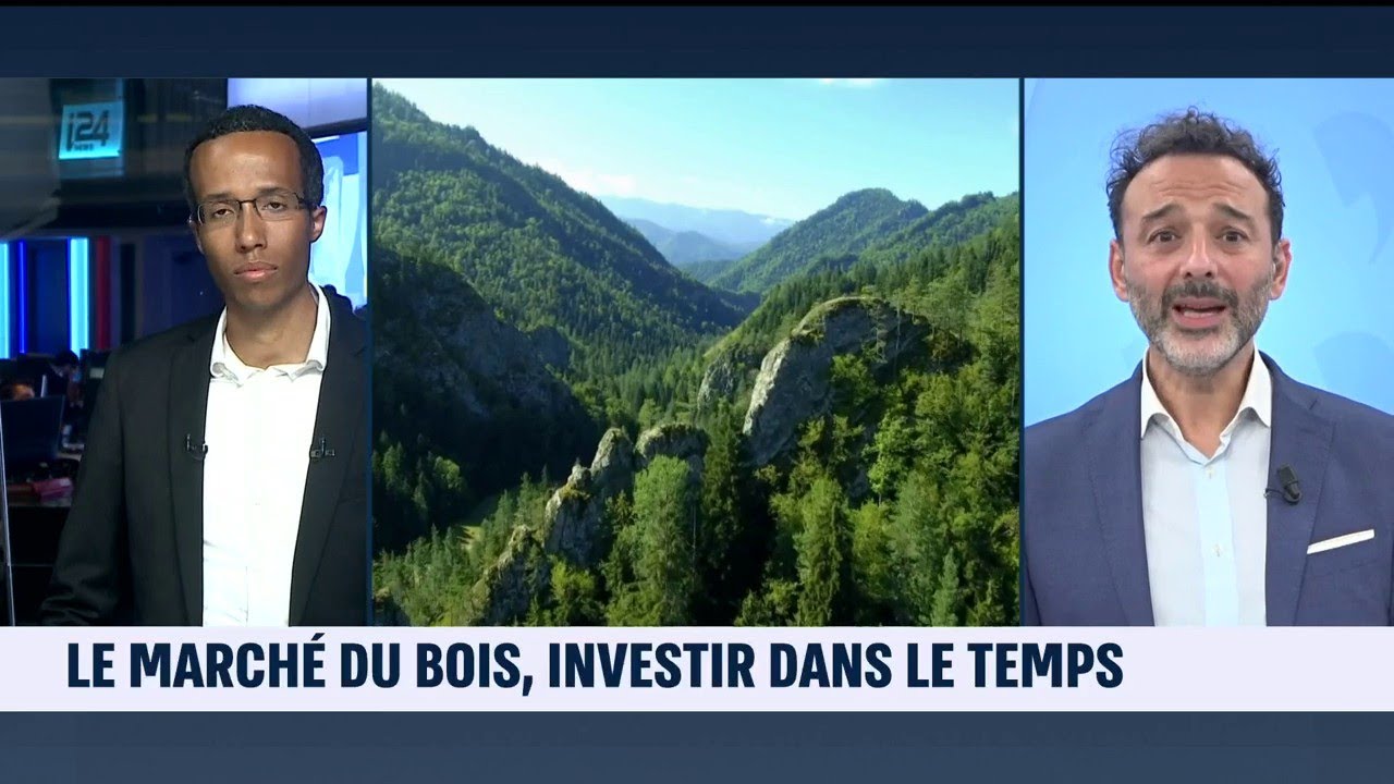 La Minute Business | Le Marché du Bois: Investir dans le Temps