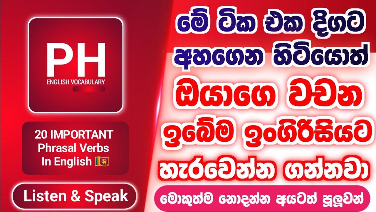 Top 20 Phrasal Verbs With Meaning and Explanation In Sinhala | English Vocabulary Practice 