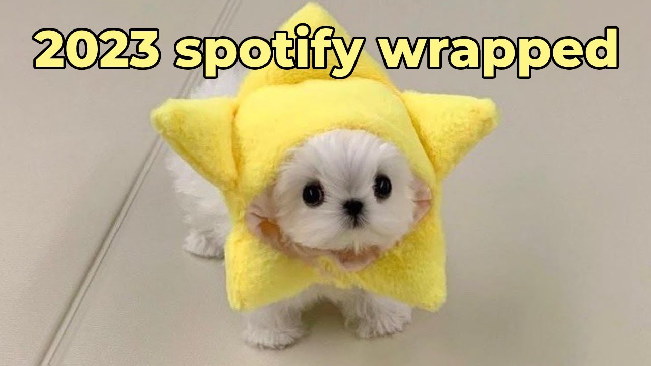 starlight's 2023 spotify wrapped because i can do whatever i want